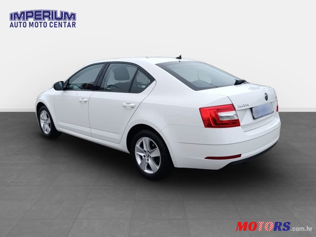 2019' Skoda Octavia photo #5