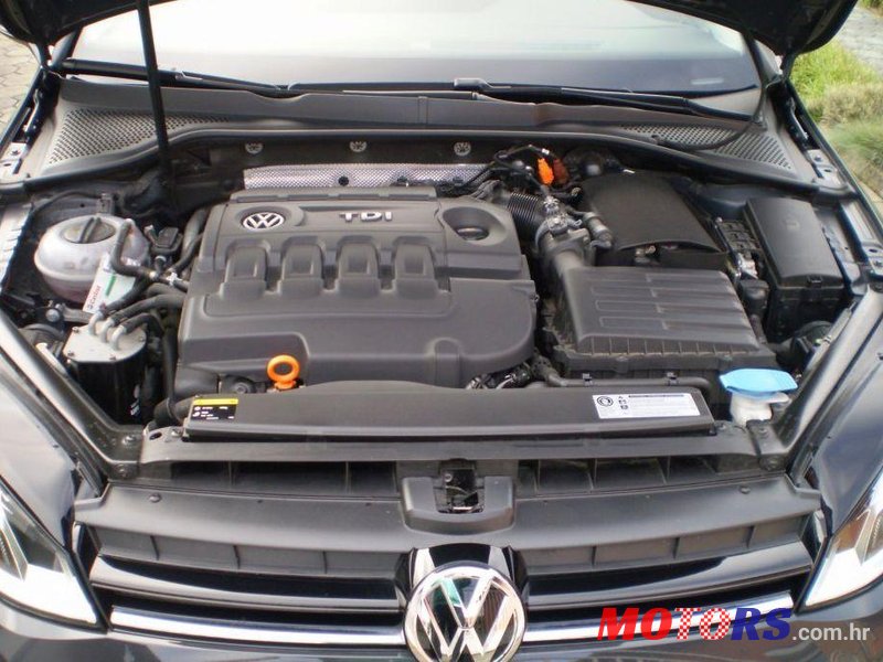 2013' Volkswagen Golf VII 1,6 Tdi Bmt photo #2