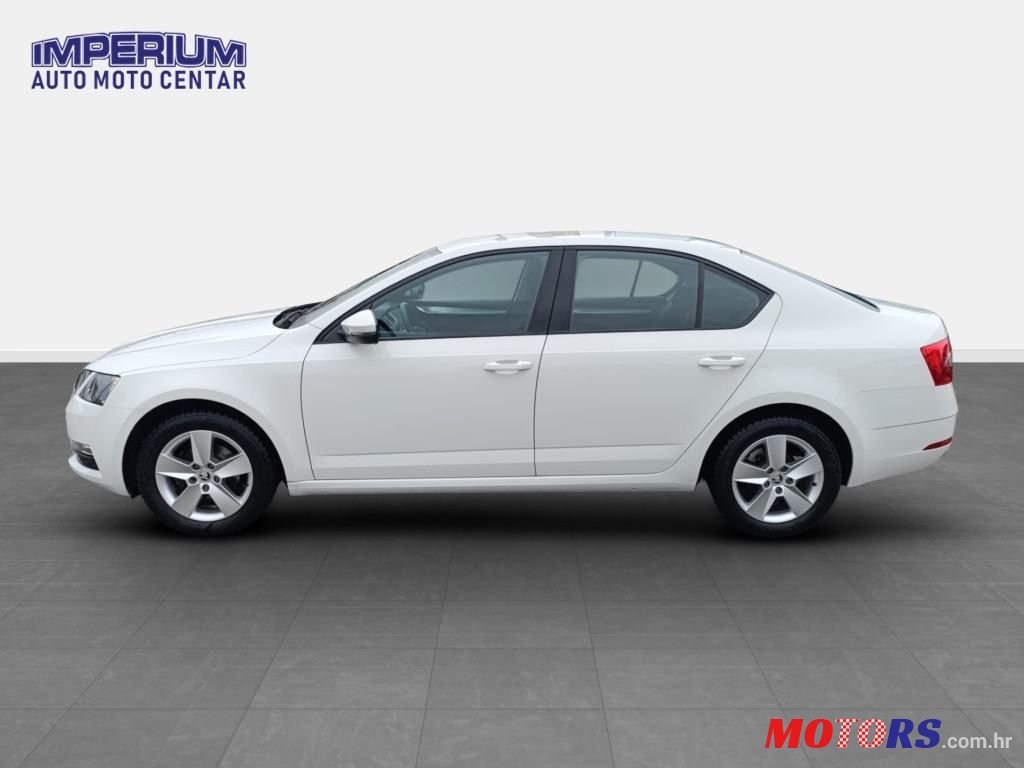 2019' Skoda Octavia photo #4