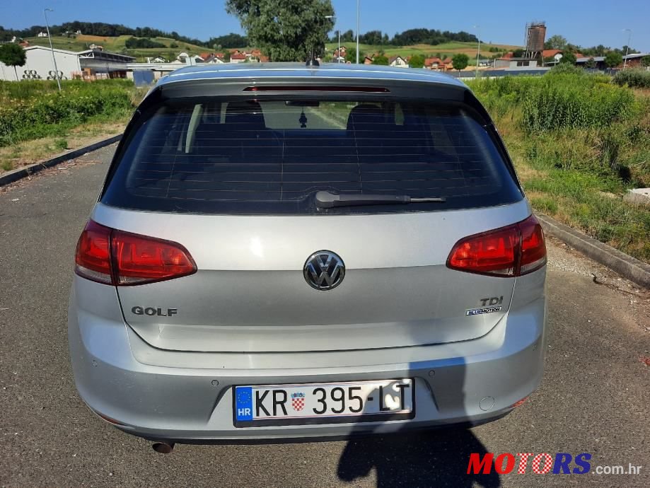 2014' Volkswagen Golf 7 photo #3