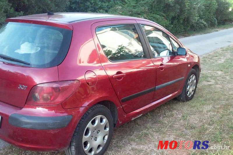 2001' Peugeot 307 1,6 16V photo #3