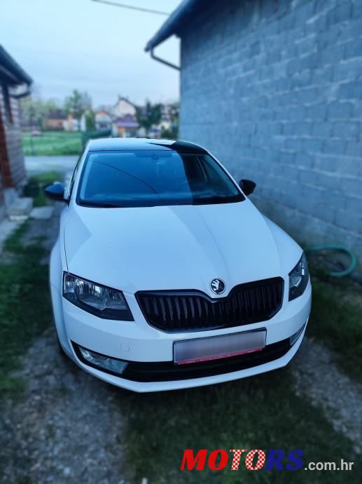 2013' Skoda Octavia 1,6 Tdi photo #1
