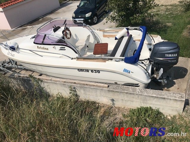 2003' Galia photo #1