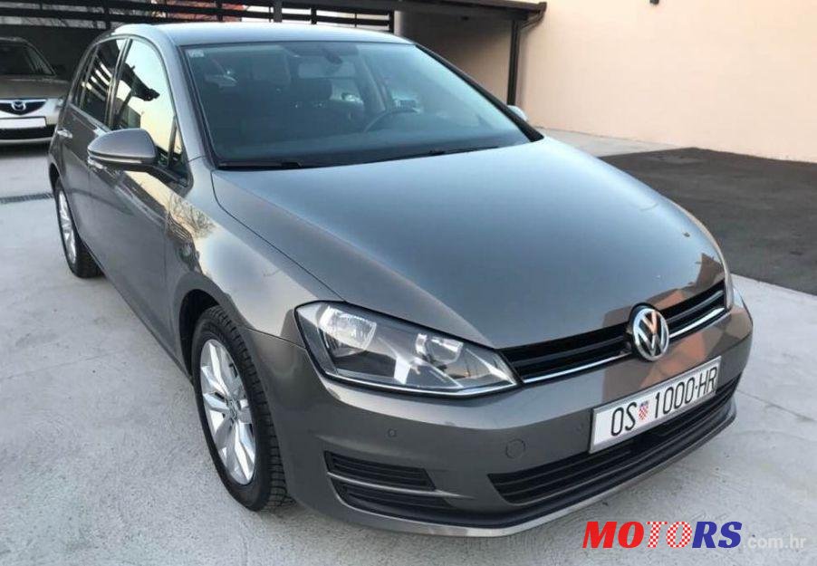2013' Volkswagen Golf VII 1,6 Tdi Bmt photo #1