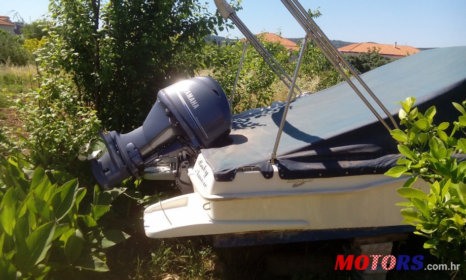 2006' Yamaha photo #1