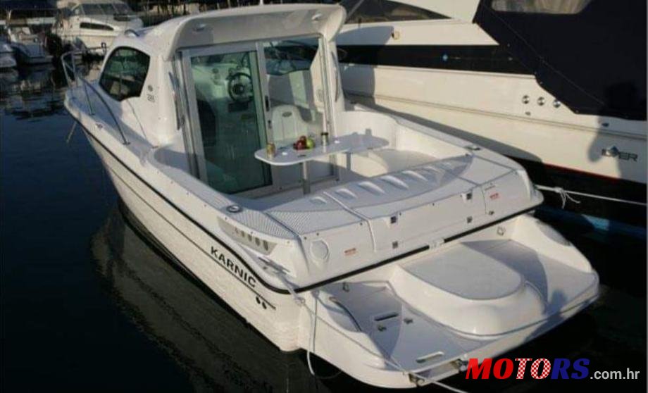 2008' Karnik photo #1