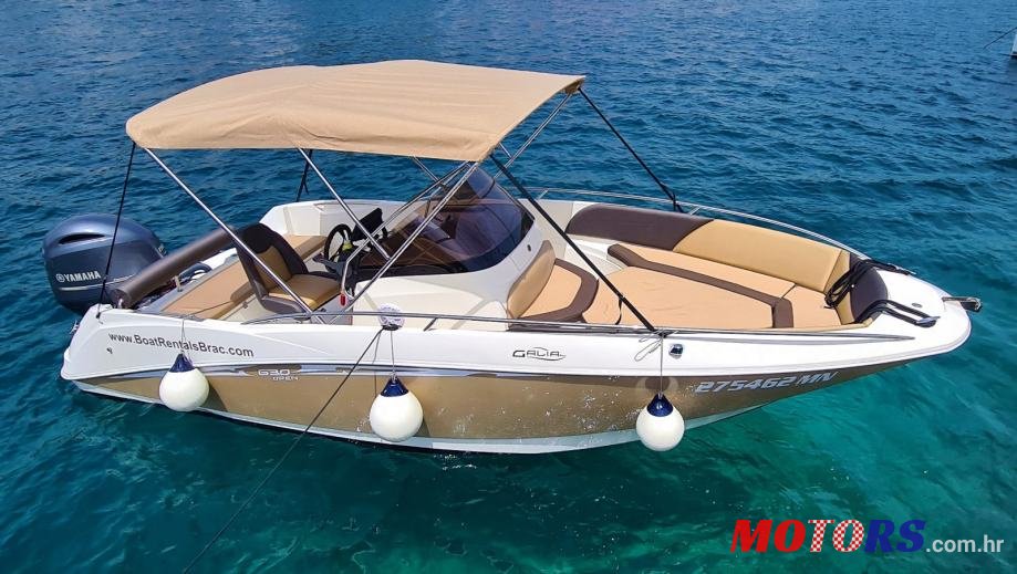 2011' Galia photo #1