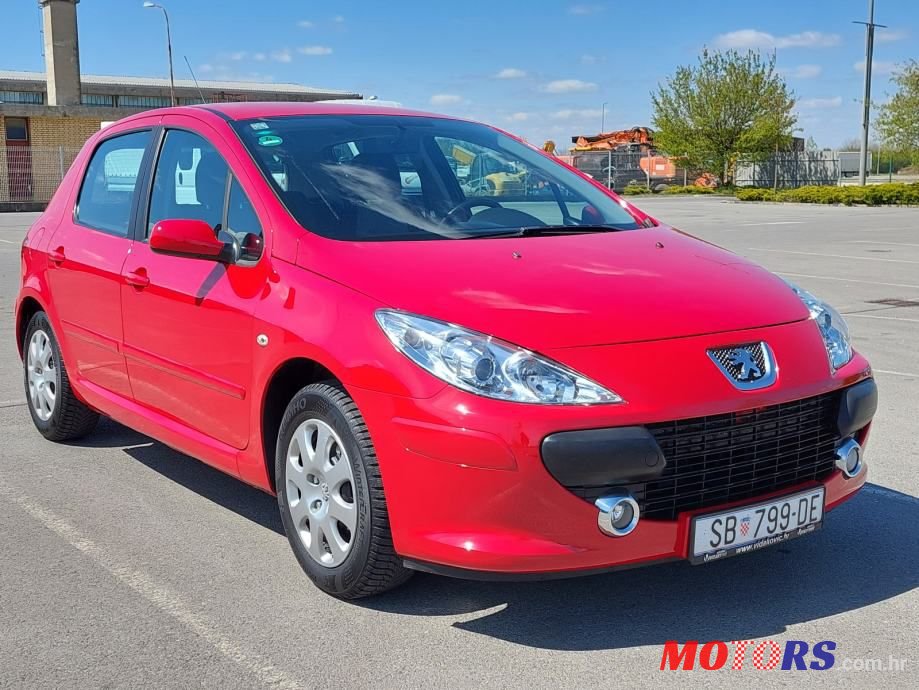 2006' Peugeot 307 photo #4