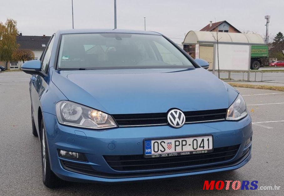 2013' Volkswagen Golf VII 1,6 Tdi Bmt photo #1