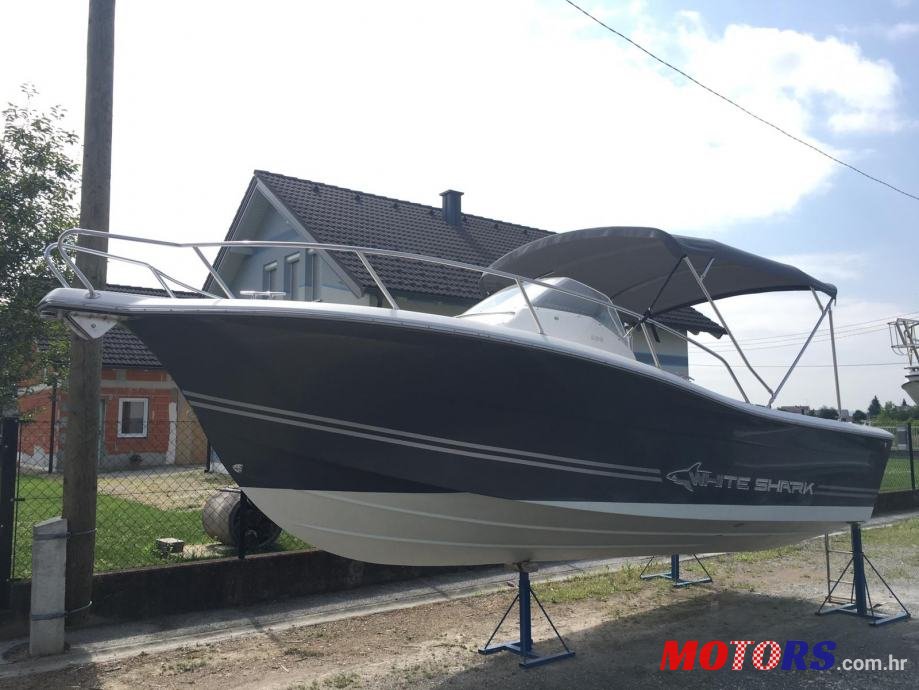 2009' White Shark photo #1