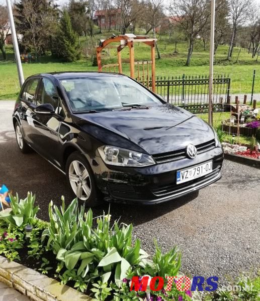 2013' Volkswagen Golf 7 photo #1