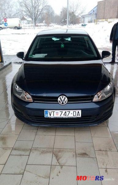 2013' Volkswagen Golf VII photo #1