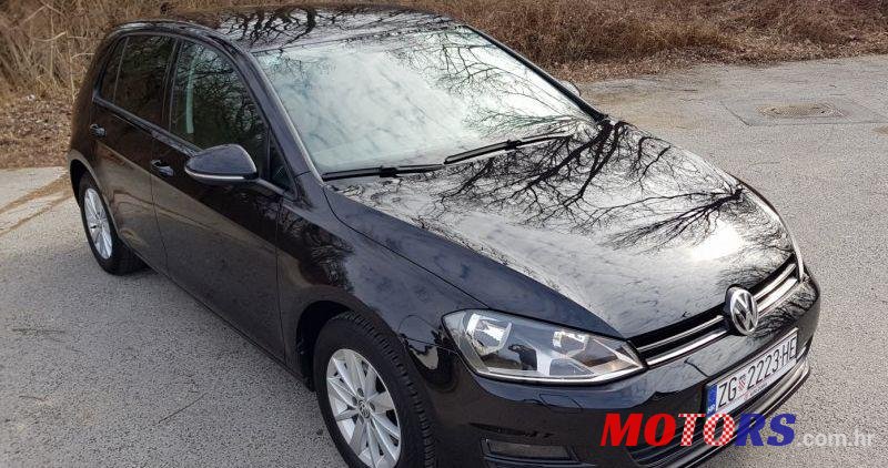 2013' Volkswagen Golf VII 1,6 Tdi Bmt photo #1