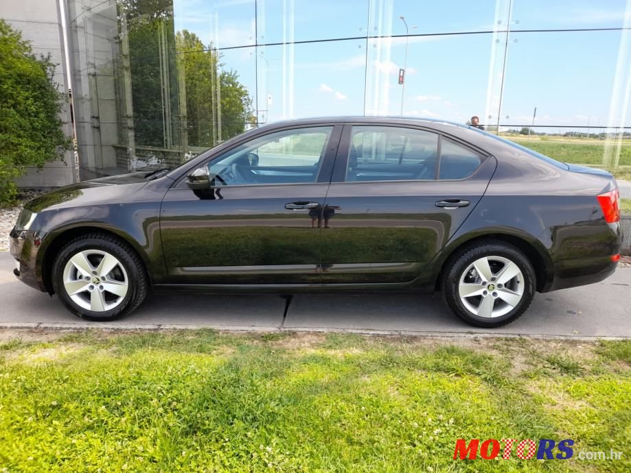 2013' Skoda Octavia photo #2