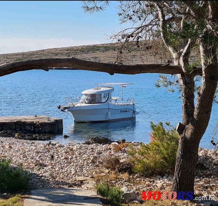 2008' Arvor photo #1