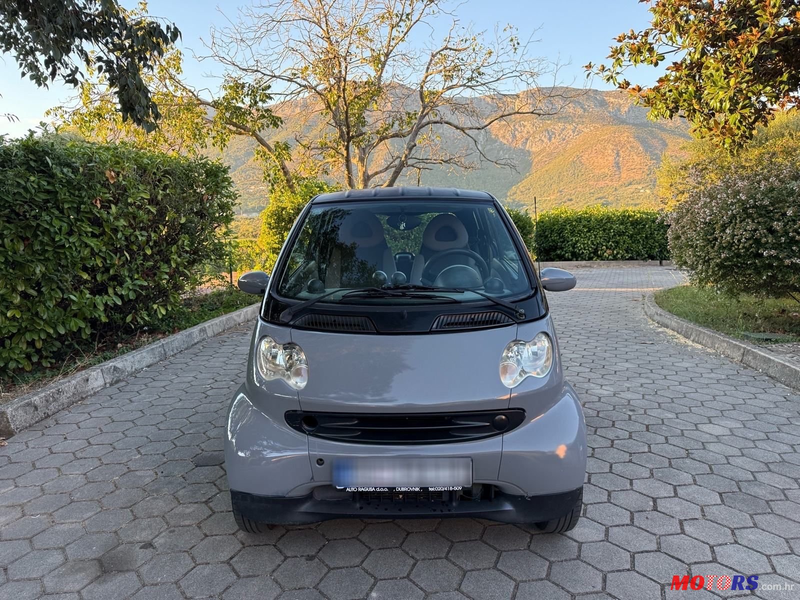 2004' Smart Fortwo Softouch photo #2