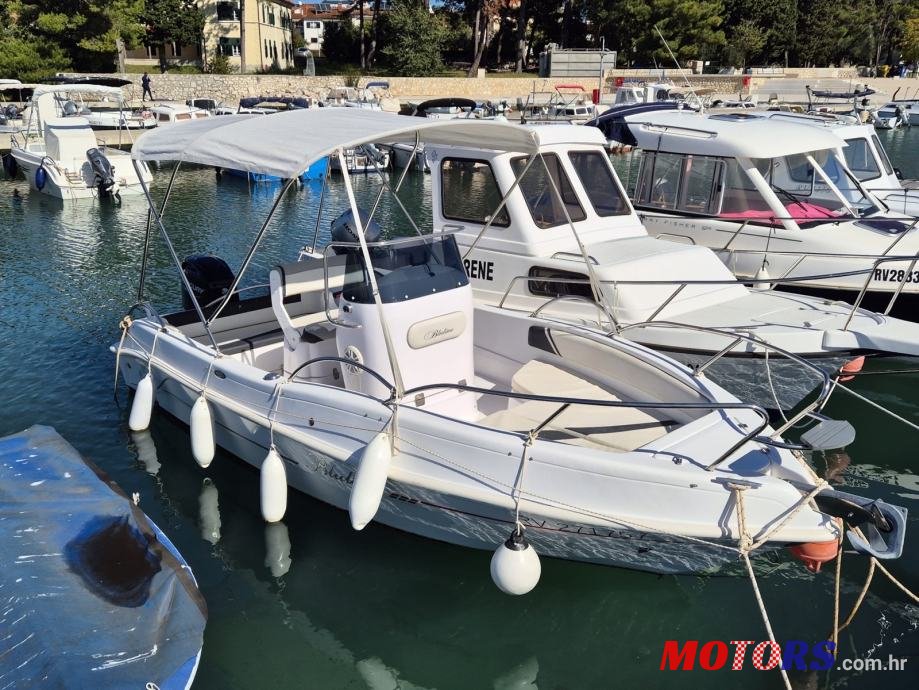 2020' Bluline photo #1