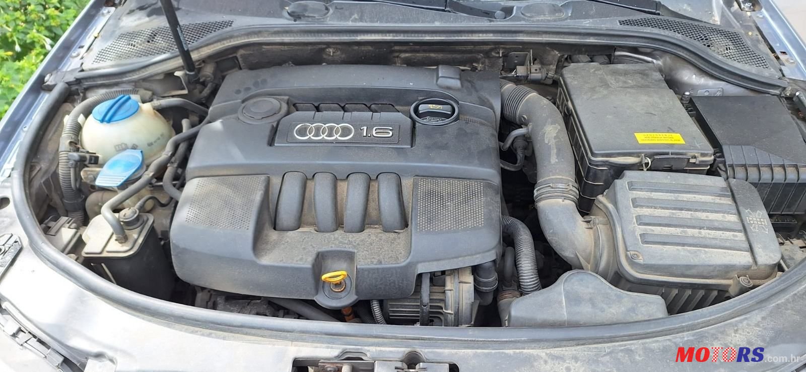 2004' Audi A3 1,6 photo #6