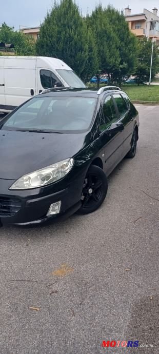 2006' Peugeot 407 Sw photo #4