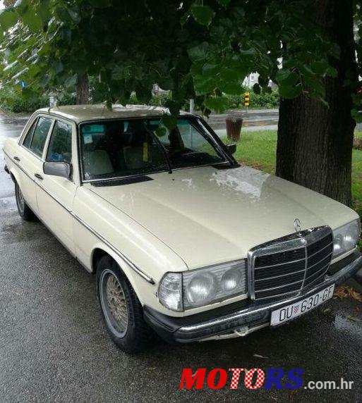 1980' Mercedes-Benz 123 240 photo #2