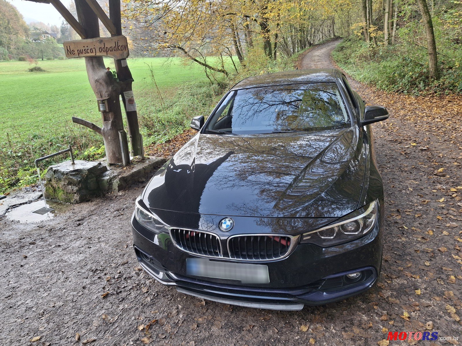 2018' BMW 4 Series Gran Coupe 420i  GRAND COUPE photo #5
