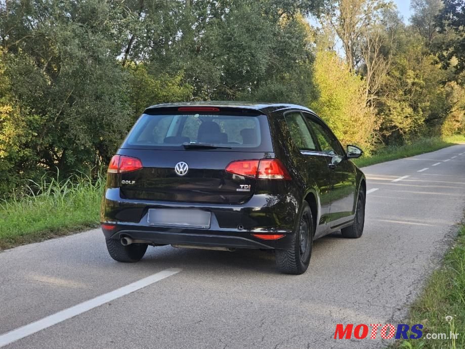 2013' Volkswagen Golf 7 photo #4