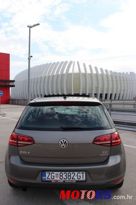 2014' Volkswagen Golf 7 photo #5