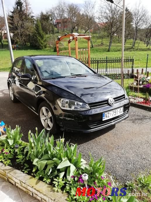 2013' Volkswagen Golf 7 photo #1