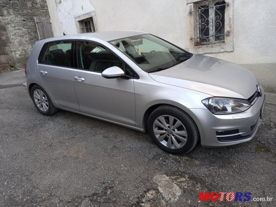 2014' Volkswagen Golf 7 1,6 Tdi Bmt photo #2