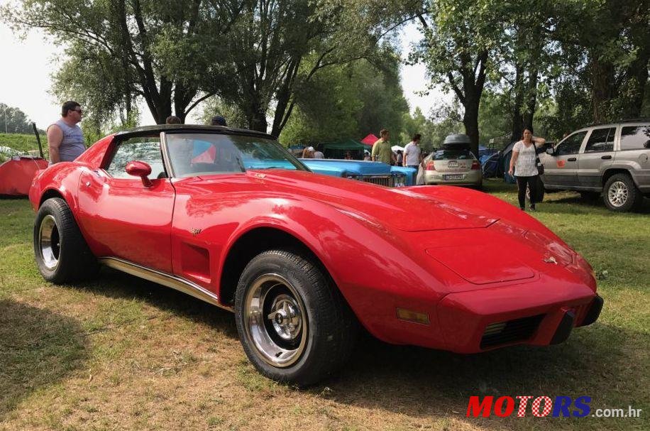 1977' Chevrolet Corvette C3 photo #2