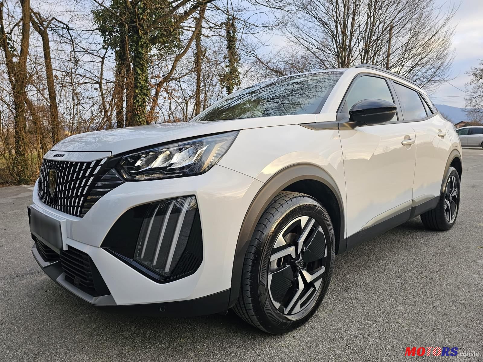 2024' Peugeot 2008 1.2 photo #1