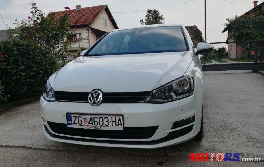 2013' Volkswagen Golf VII photo #3