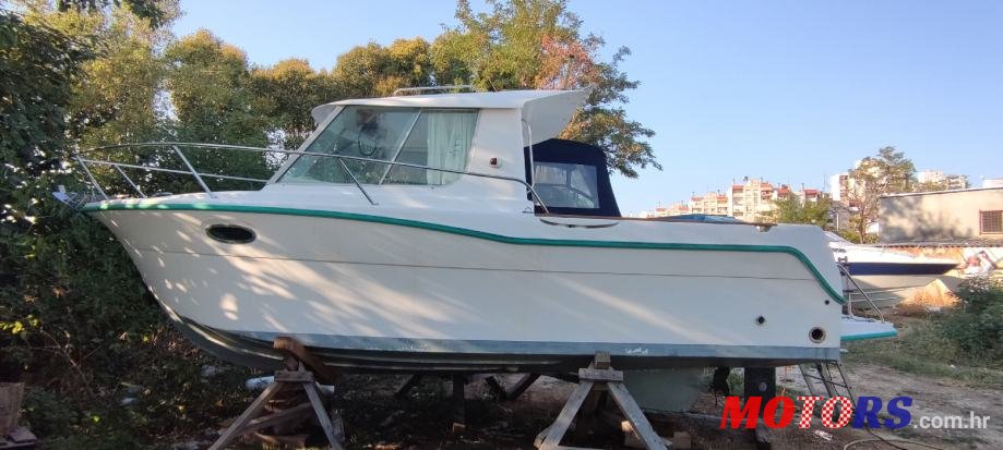 2000' Ocqueteau photo #1