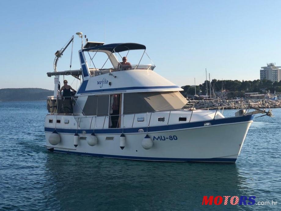 1992' Golden Star photo #1