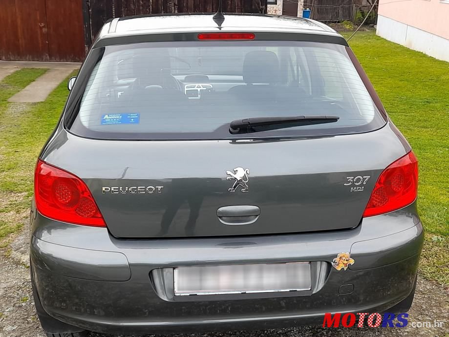 2007' Peugeot 307 photo #2