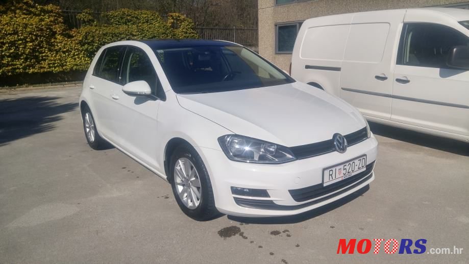 2008' Volkswagen Golf 7 1,6 Tdi photo #1