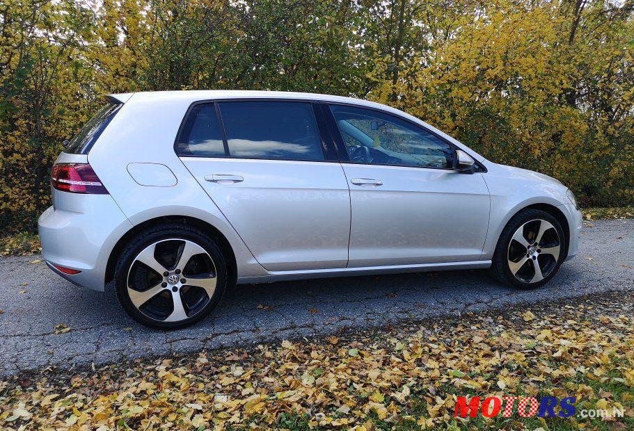 2013' Volkswagen Golf VII 1,6 Tdi Bmt photo #1
