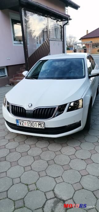 2019' Skoda Octavia 1,6 Tdi photo #4