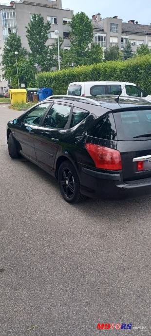 2006' Peugeot 407 Sw photo #6