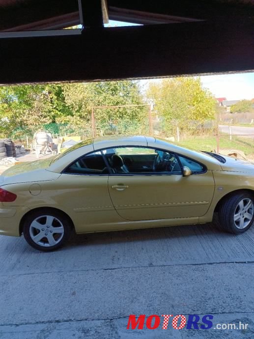 2006' Peugeot 307 Sport photo #6