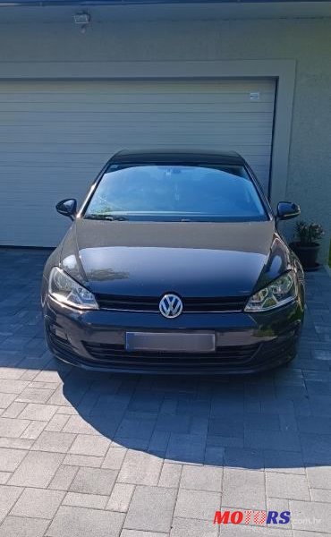 2016' Volkswagen Golf 7 1,6 Tdi Bmt photo #2