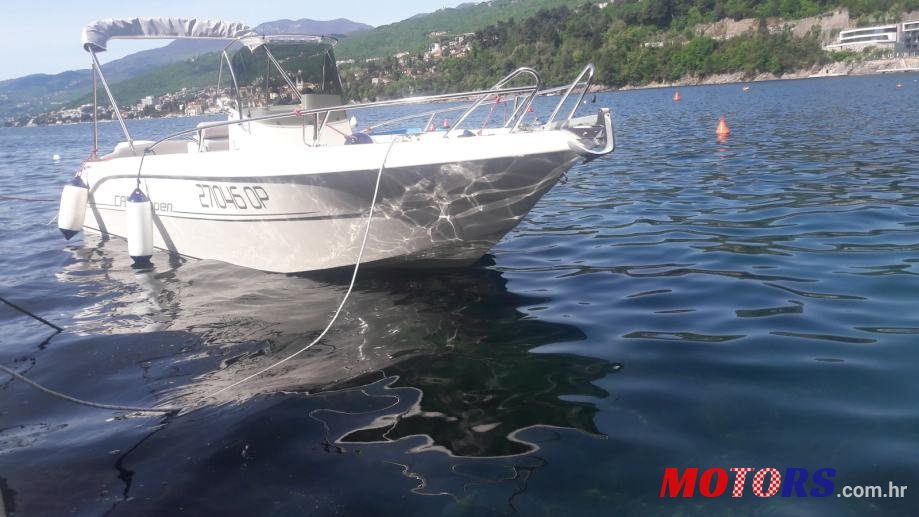 2010' Capelli photo #1