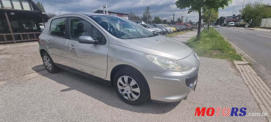 2006' Peugeot 307 i photo #4