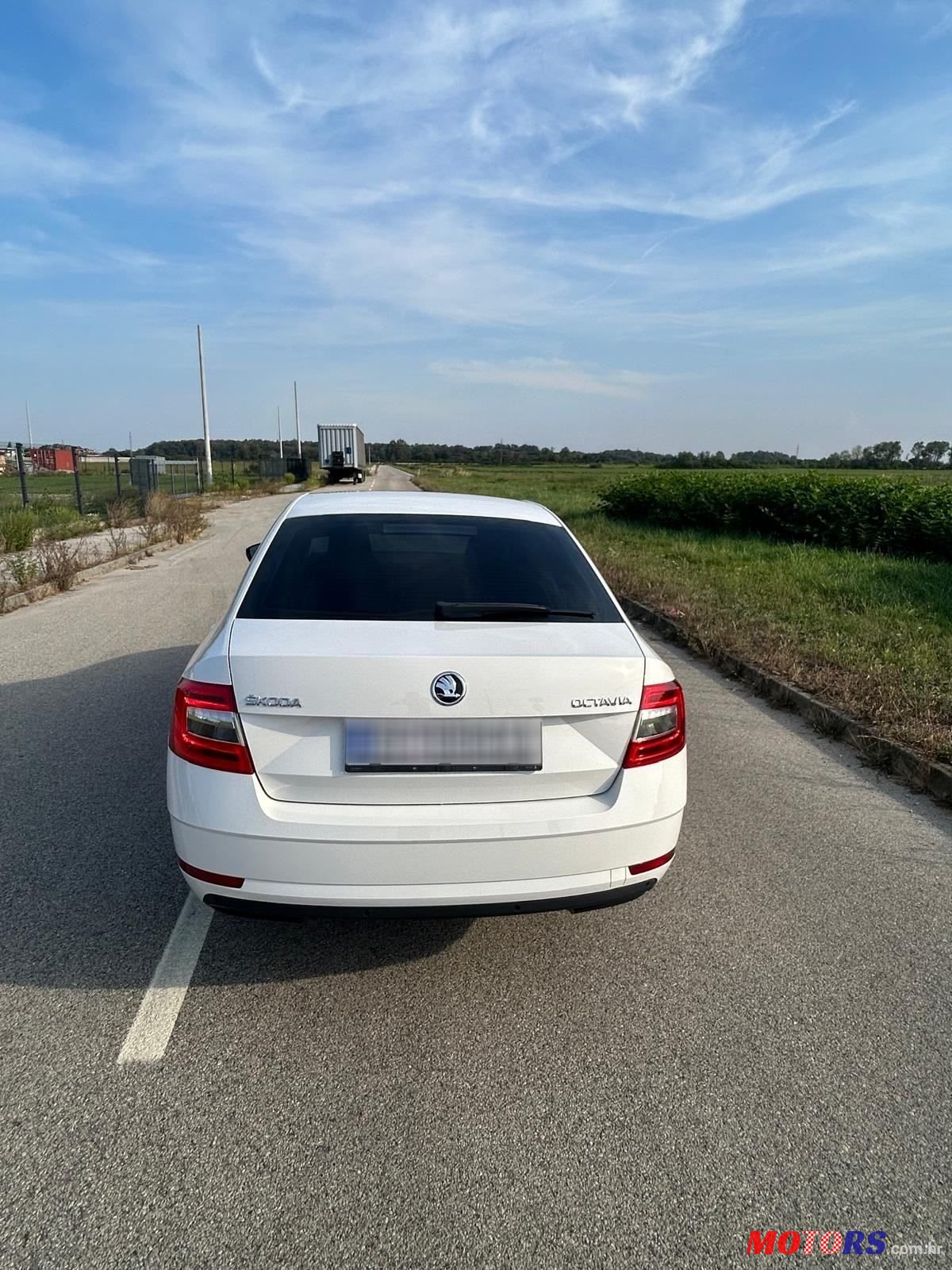 2019' Skoda Octavia 2,0 Tdi photo #4