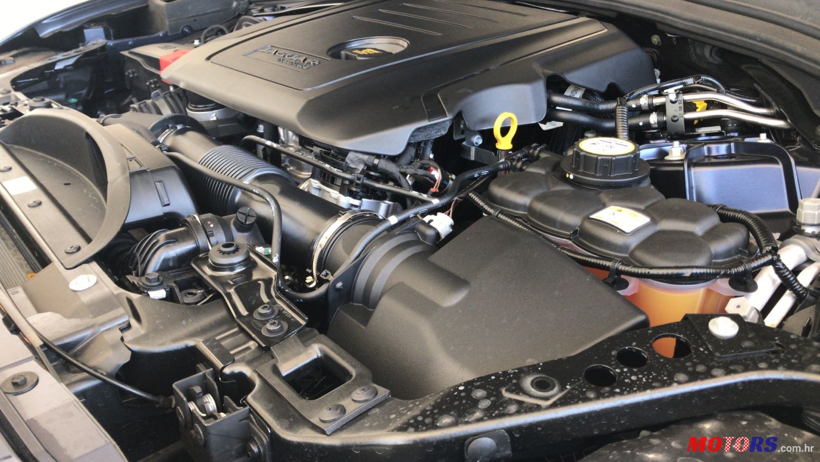 2017' Jaguar Daimler f-pace photo #5