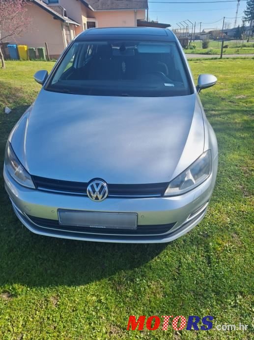 2013' Volkswagen Golf VII photo #1