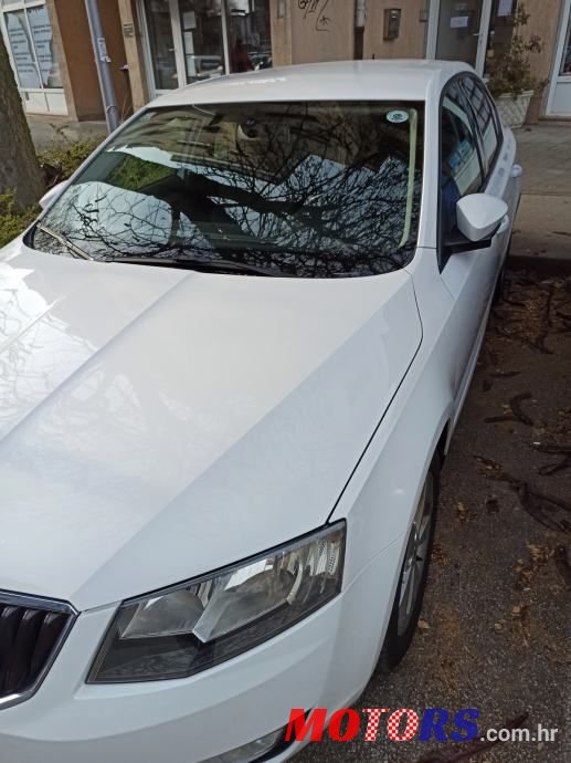 2013' Skoda Octavia 2,0 Tdi photo #3