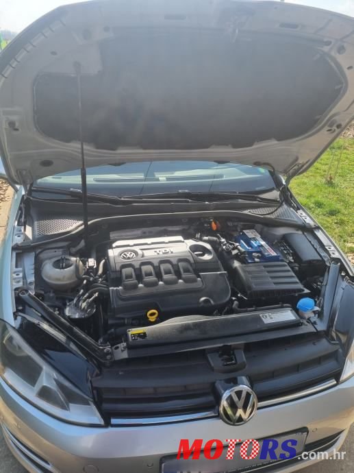 2014' Volkswagen Golf 7 photo #2