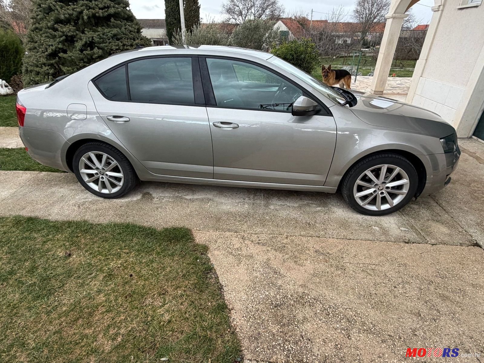 2014' Skoda Octavia 1,2 Tsi photo #1