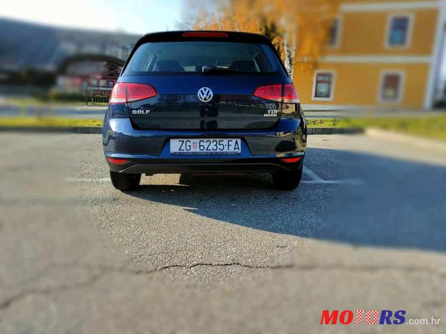 2013' Volkswagen Golf 7 photo #5